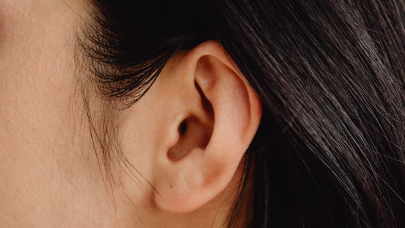Kéo vành tai: Bảo vệ thận và ngăn ngừa lão hóa