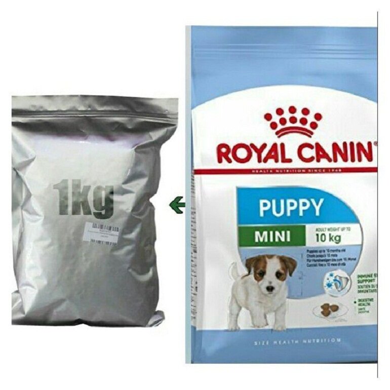 Thức ăn khô cho chó con Royal Canin Mini Puppy