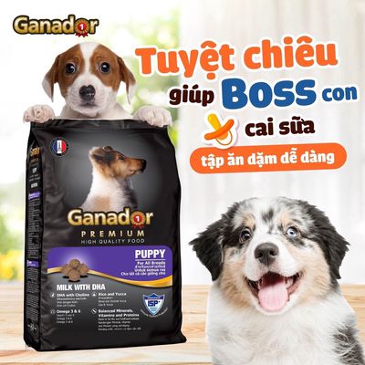 10KG THỨC ĂN CHO CHÓ Ganador Puppy Vị Sữa DHA